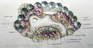 garden plan