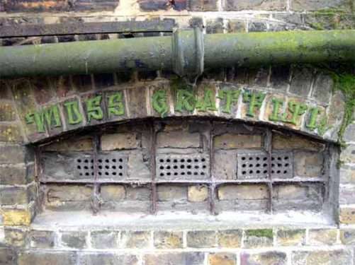 moss graffiti