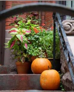 Planter Plants in the plan for a brick house