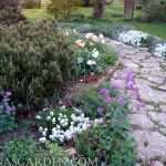 low perennials