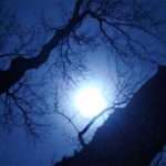 Full moon
