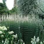 Sissinghurst garden