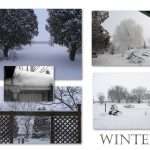 winter garden photos in a collage.