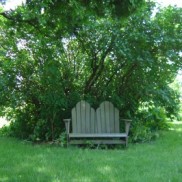 bench under the lilac bench under the lilac