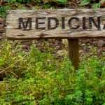 medicinal herb garden