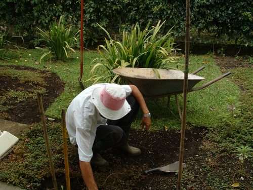 gardening is exercise