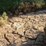 stone walk