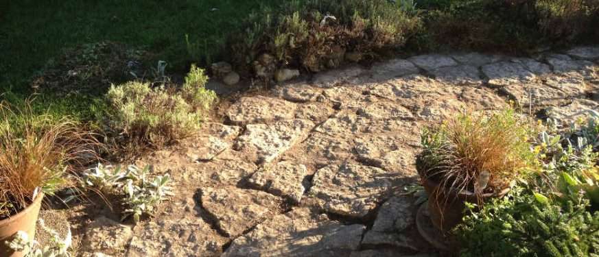 stone walk in our garden