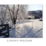 a cold climate garden