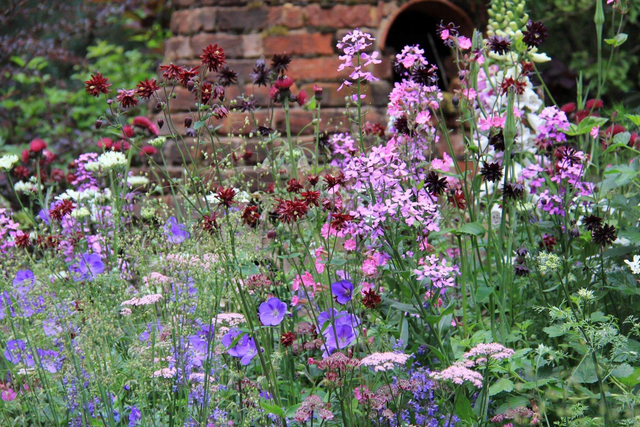 Photo by Karen Roe A potter’s garden