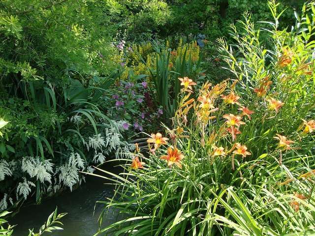 Photo by Annabelle M Monet's garden