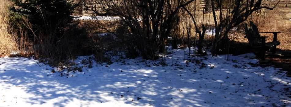 early spring garden