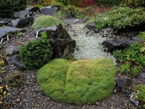 scree garden photo by brewbooks