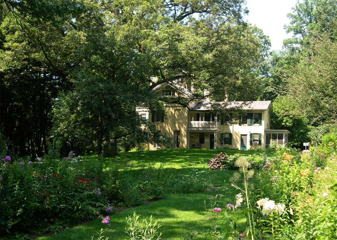 Dickinson's garden