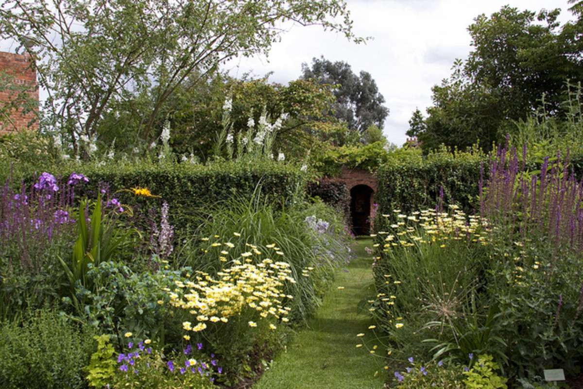 cottage garden flowers cottage garden flowers