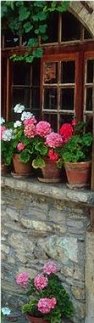 flower pot containers
