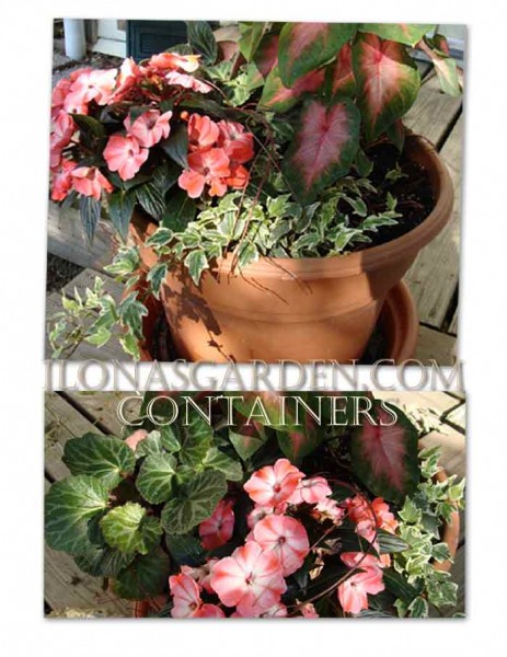 shady container